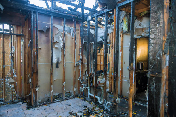 Professional Fire Damage Removal technician working in Long Beach, WA